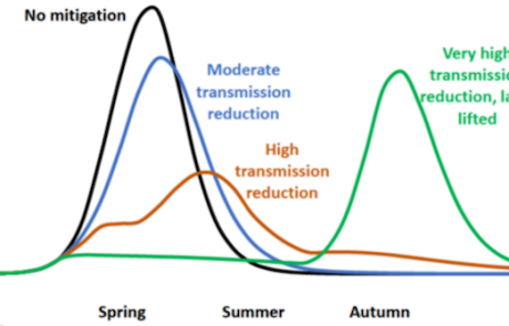 Science and policy in extremis, part 1: what can we learn from the UK’s initial response to COVID-19?