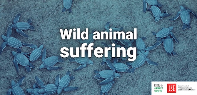 A beginner’s guide to wild animal suffering (Co-Hosted with LSE SU Animals’ Society)