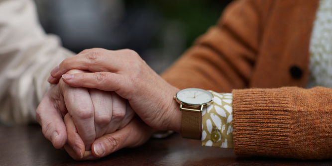 Dementia and its handmaids