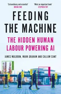 Feeding the Machine: the hidden human labour powering AI