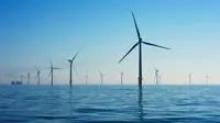 A person looking at wind turbines