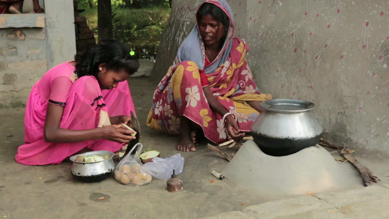 women cooking at home. 