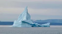 Sea ice