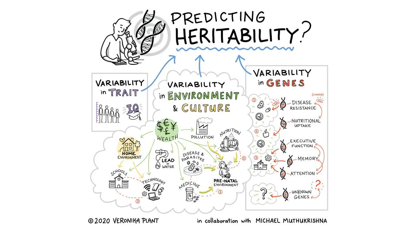 infographic about predicting heritability