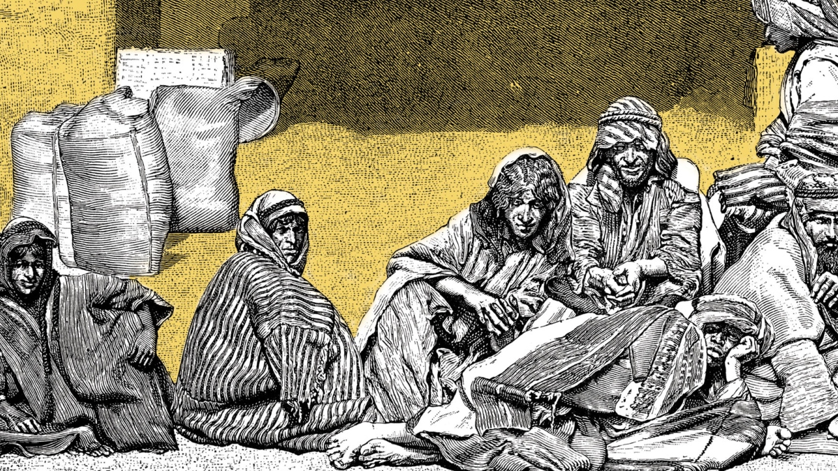 Rise of Egyptian cotton market tripled rural slave population 1848-68 ...