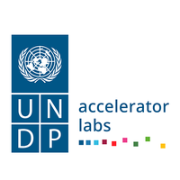 UNDP Labs
