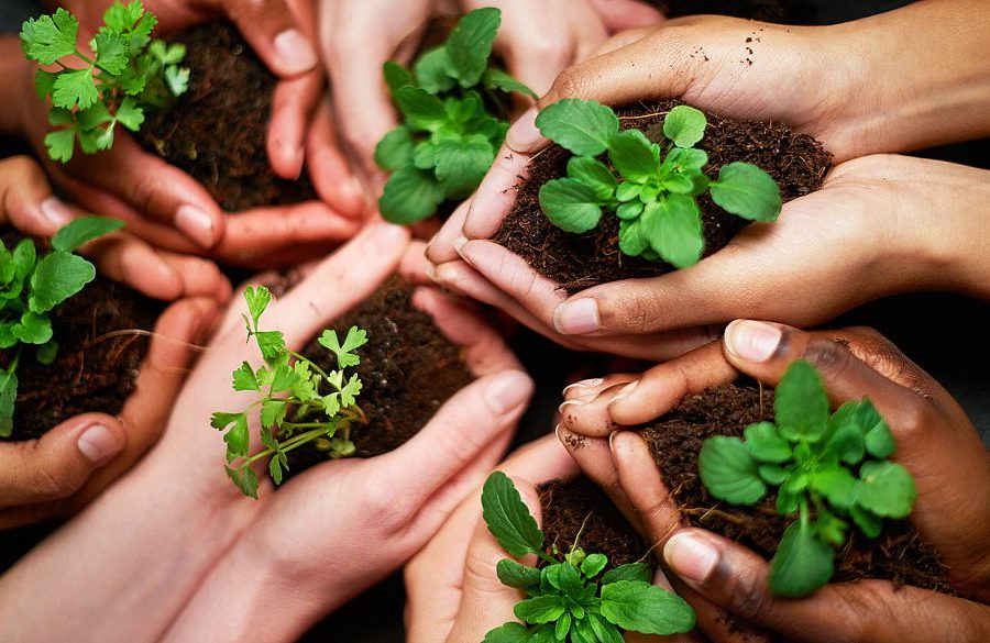 sustainable-behavior-change-900x585