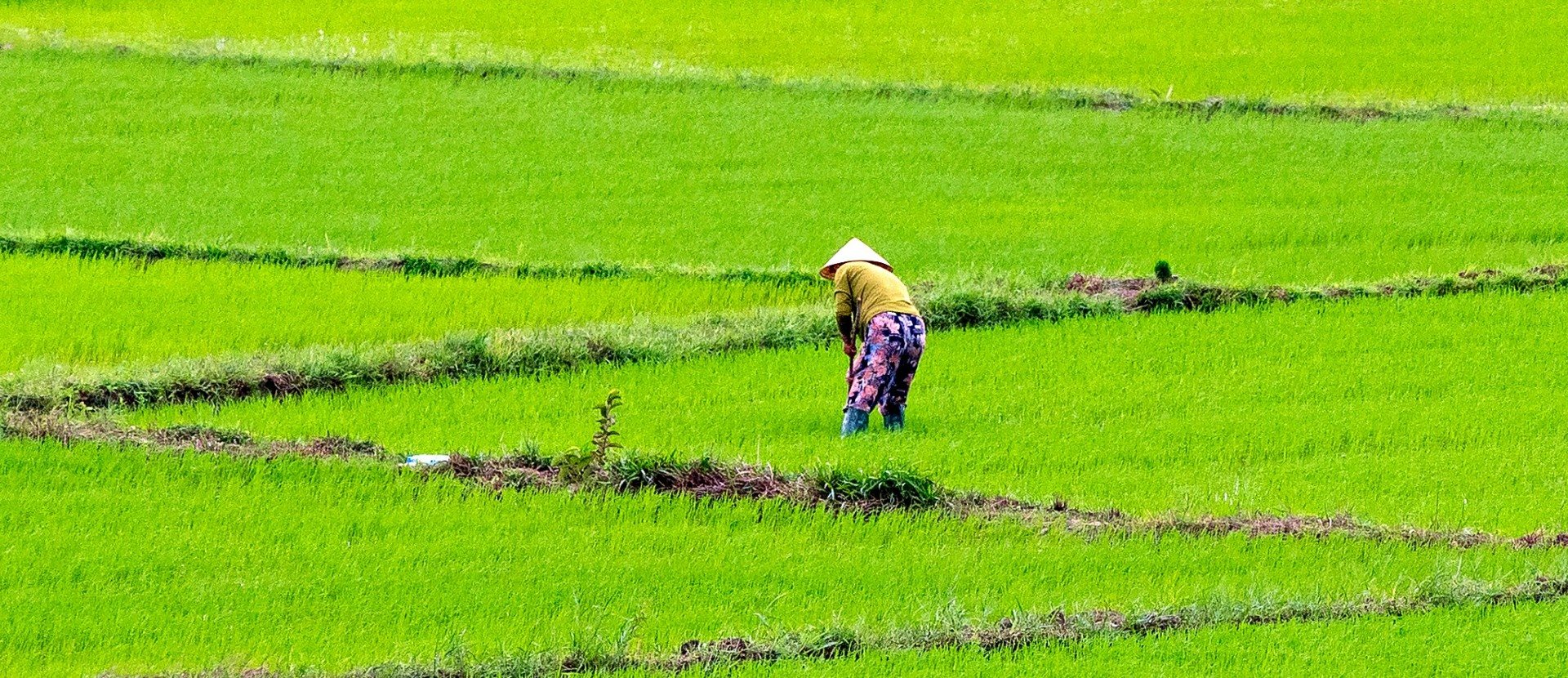 Session 2 - Southeast Asia’s Green Supply Chains