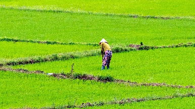 Thumb Session 2 - Southeast Asia’s Green Supply Chains-fotor-2024032814383