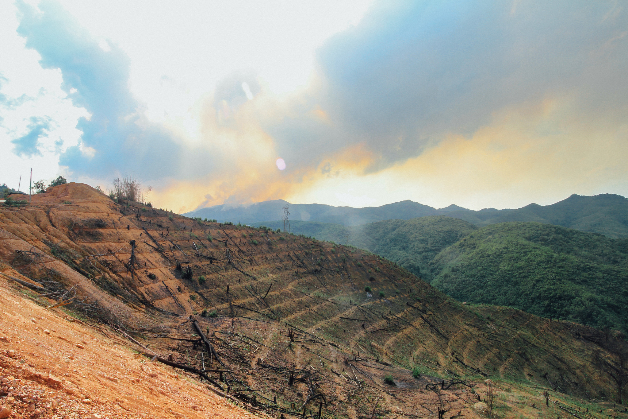 Terrace farming charred by a recent forest fire