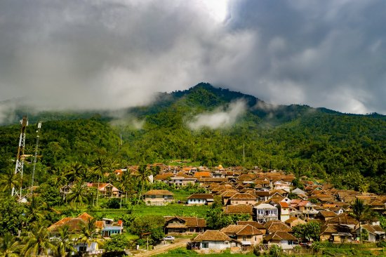 indonesia palm oil pic