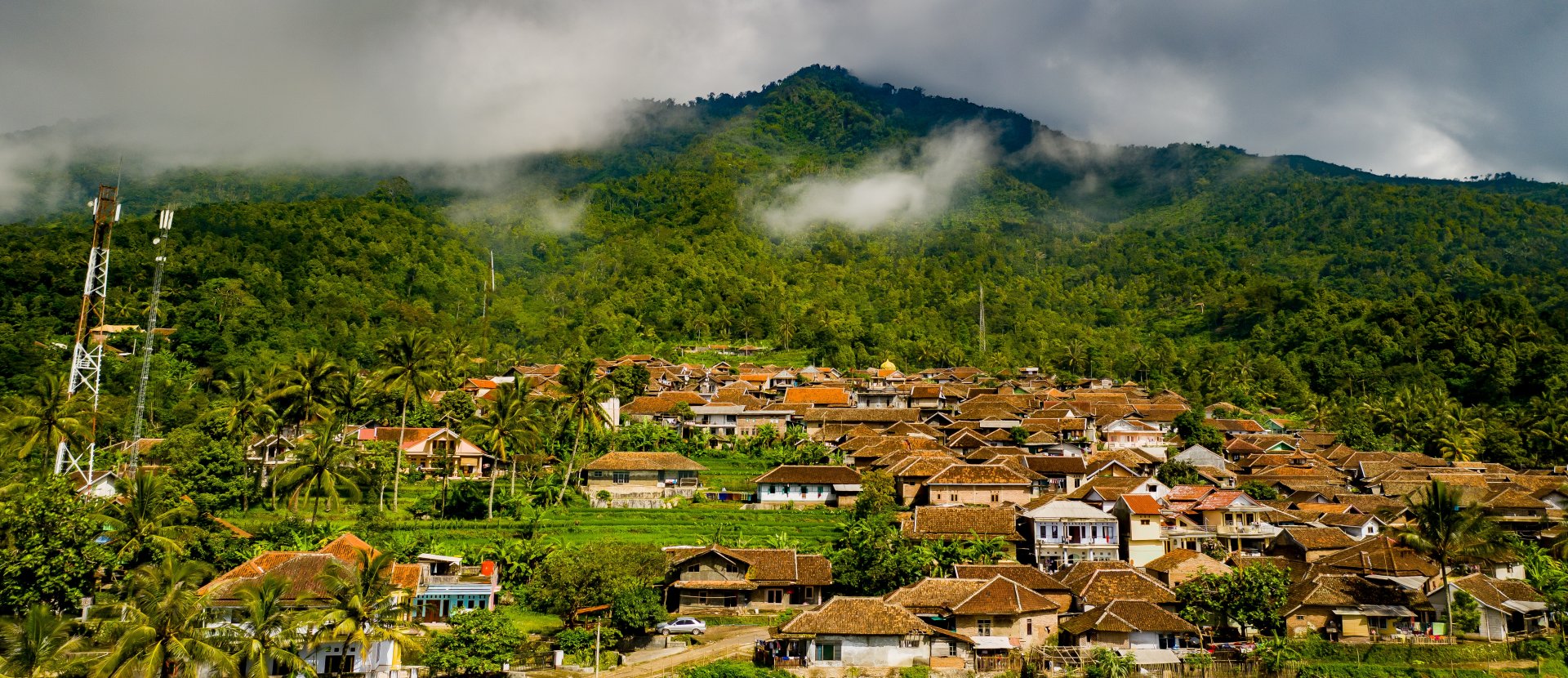 palm oil event banner