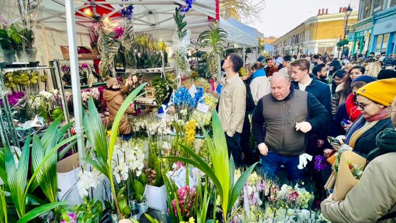 flower exhibition