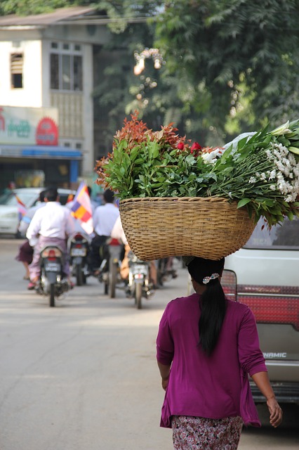 haacke_flowers