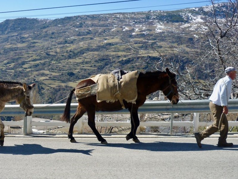 Striking inequalities in Spain