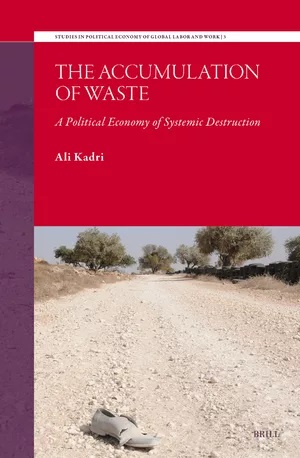 book cover - the accumulation of waste