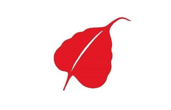 SAC leaf logo 2