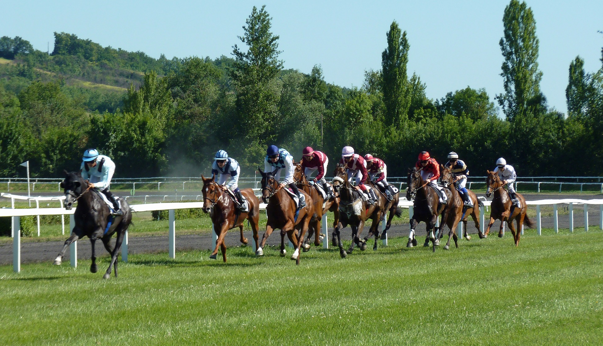 Horse and jockeys race on a track
