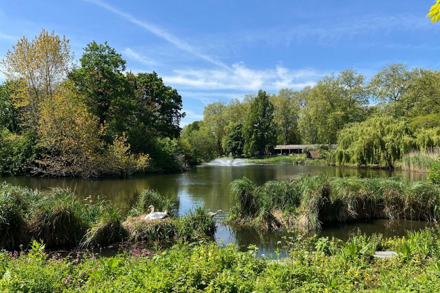 Hyde park_image