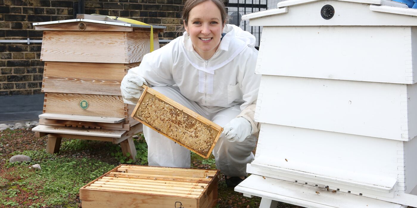 Bee_keeping_Amelia_Sharman_9954