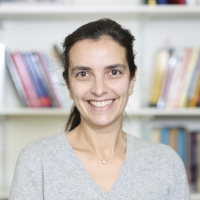 Professor Pauline  Barrieu