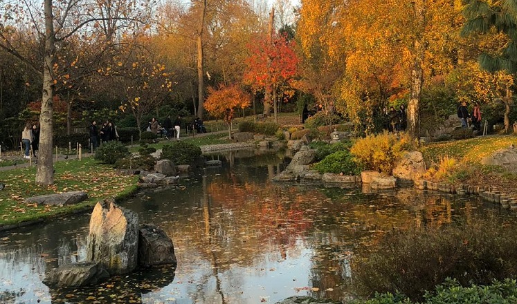 Kyoto-Gardens-747x440