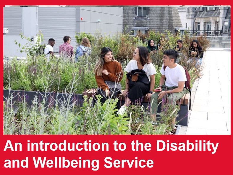 An introduction to LSE's Disability and Wellbeing Service VOD 2021