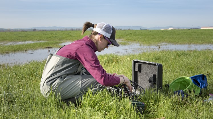 Marshland fieldwork science 747x420