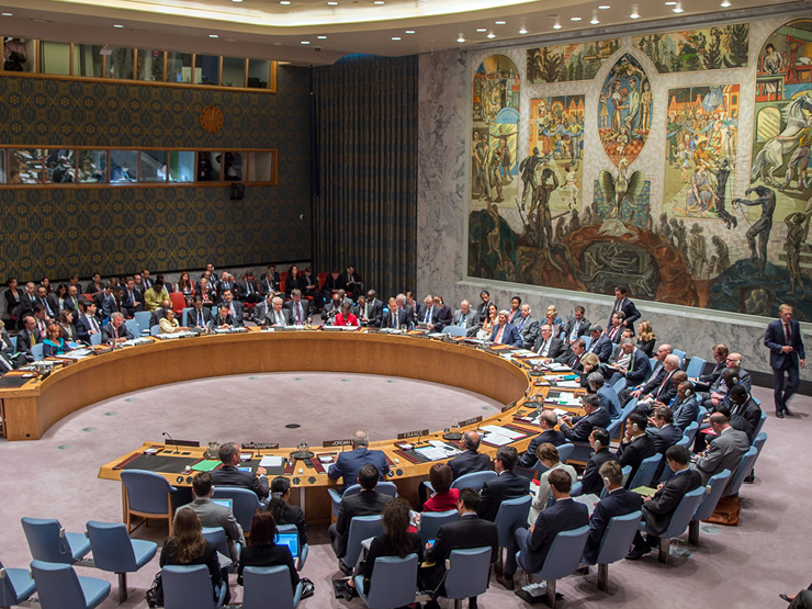 Security Council 740 x 555