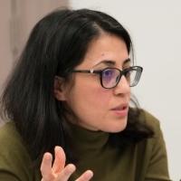 Zeynep N. Kaya